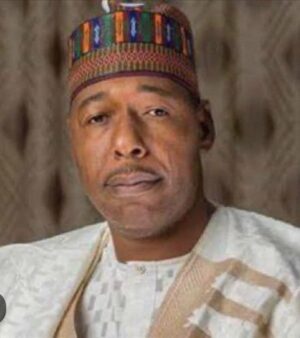 Zulum Empower Farmers, Subsidize Petrol At N600/Litre For Communities.