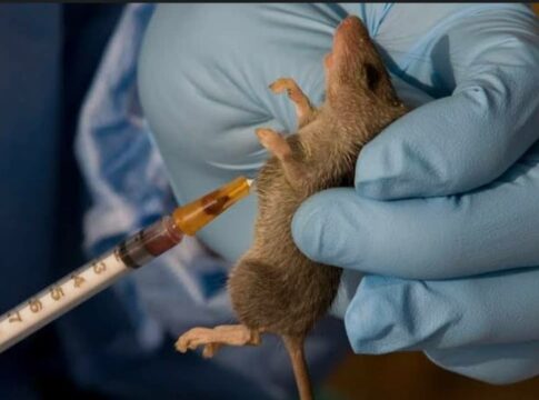 672d9b93-6e32-46a9-80bb-4eb299f0db6a