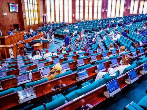 house of assembly Compulsory Voting Bill Sparks Division in National Assembly