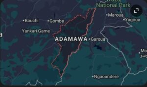7 Deaths, 67 Cases Confirmed As FG Probes Buruli Ulcer Disease In Adamawa.